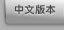 Chinese Version
